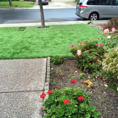 Grass Carpet Dos Palos Y, California Dog Park, Front Yard Ideas