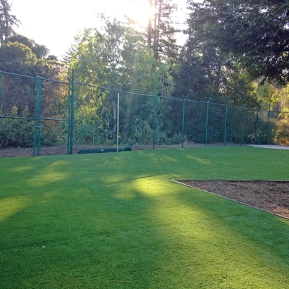 Grass Carpet El Nido, California Landscaping, Parks