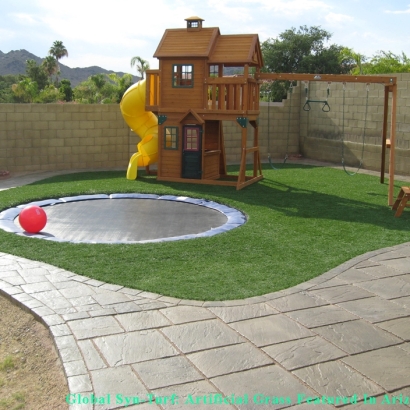 Grass Carpet Hilmar-Irwin, California Gardeners, Backyard Ideas