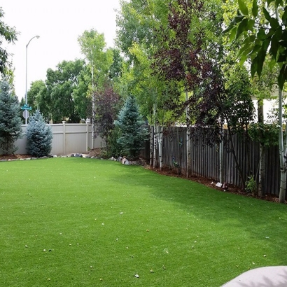 Grass Carpet Le Grand, California Cat Playground, Backyard Landscaping Ideas