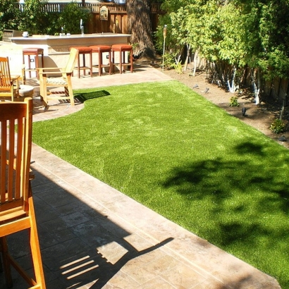 Grass Carpet Livingston, California City Landscape, Backyard Ideas