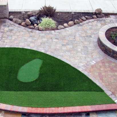 Grass Carpet Snelling, California Landscape Design, Front Yard Design