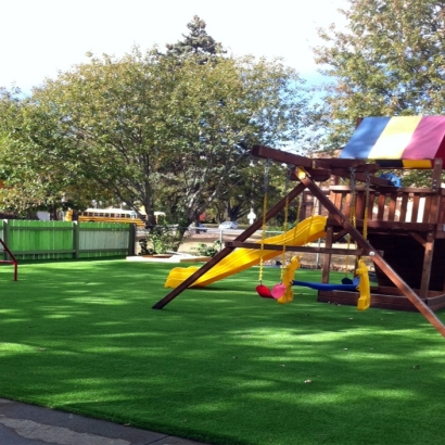 Grass Carpet Volta, California Playground, Commercial Landscape