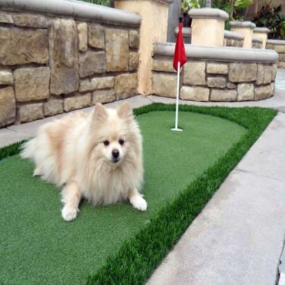 Grass Installation Los Banos, California Putting Green Carpet, Backyard Garden Ideas