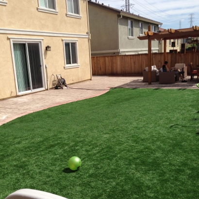 Grass Installation Stevinson, California Landscape Photos, Backyard Design