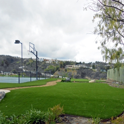 Grass Turf Livingston, California Landscaping, Commercial Landscape