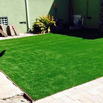 Grass Turf Los Banos, California Dog Hospital, Backyard Designs