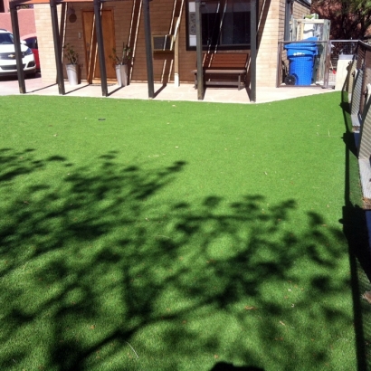 Green Lawn Gustine, California Garden Ideas, Backyards