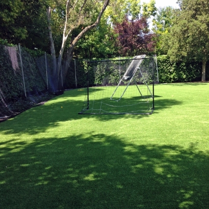 Green Lawn Tuttle, California Backyard Sports, Backyards