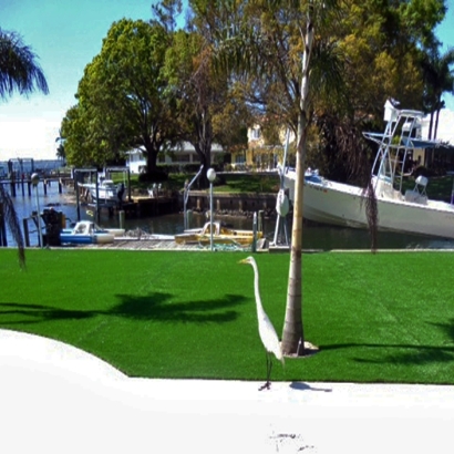 Green Lawn Tuttle, California Lawns, Backyard Landscape Ideas