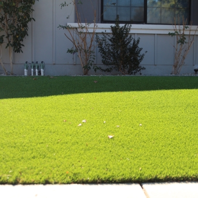 Green Lawn Volta, California Landscape Ideas, Small Front Yard Landscaping