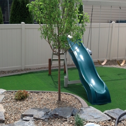 Green Lawn Winton, California Lawns, Backyard Landscaping Ideas