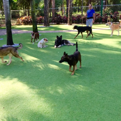 How To Install Artificial Grass Dos Palos, California Pet Turf, Dogs