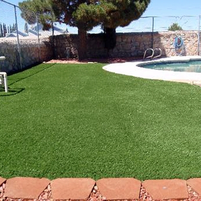 How To Install Artificial Grass Volta, California Hotel For Dogs, Backyard Pool