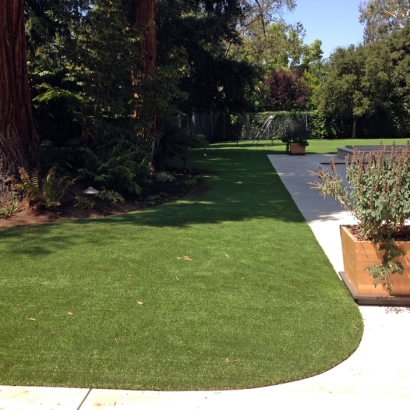 Installing Artificial Grass Los Banos, California Cat Playground, Front Yard Landscaping Ideas