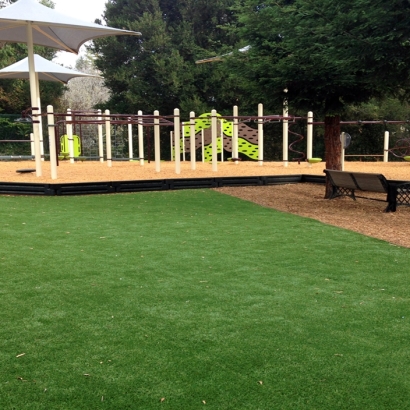 Lawn Services Tuttle, California Kids Indoor Playground, Backyard Landscape Ideas