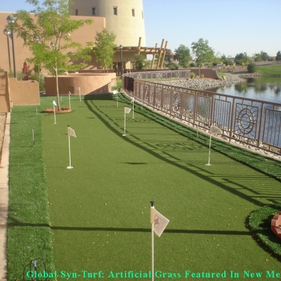 Outdoor Carpet Atwater, California Lawns, Backyard Ideas