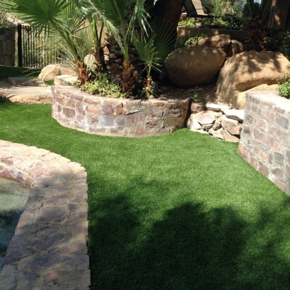 Outdoor Carpet Dos Palos, California Dog Parks, Beautiful Backyards