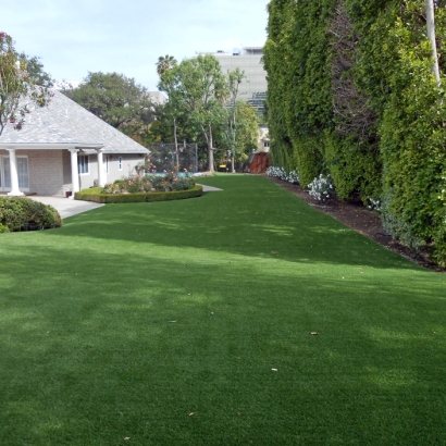 Outdoor Carpet Hilmar-Irwin, California Cat Playground, Front Yard Landscaping Ideas