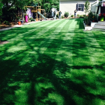 Outdoor Carpet Hilmar-Irwin, California Landscape Ideas, Backyard Garden Ideas