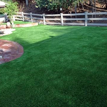 Outdoor Carpet Livingston, California Dog Running, Backyard Ideas