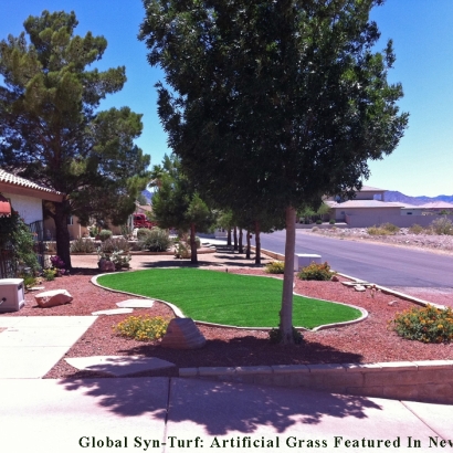 Outdoor Carpet Planada, California Gardeners, Front Yard Landscape Ideas