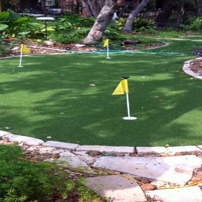 Plastic Grass Los Banos, California Garden Ideas, Beautiful Backyards