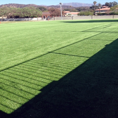 Plastic Grass Tuttle, California City Landscape