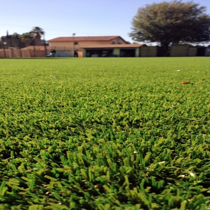 Synthetic Grass Cost South Dos Palos, California Lawn And Garden