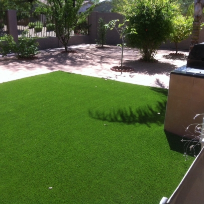 Synthetic Grass Cost South Dos Palos, California Watch Dogs, Beautiful Backyards