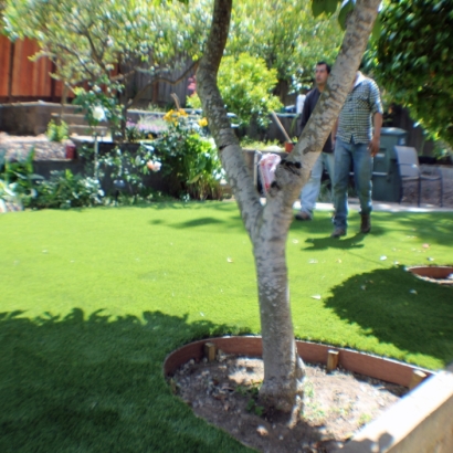 Synthetic Grass Cost Tuttle, California Design Ideas, Backyard Landscape Ideas