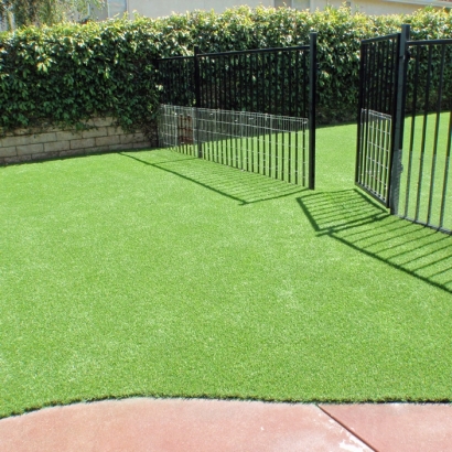 Synthetic Grass Cressey, California Fake Grass For Dogs, Small Front Yard Landscaping