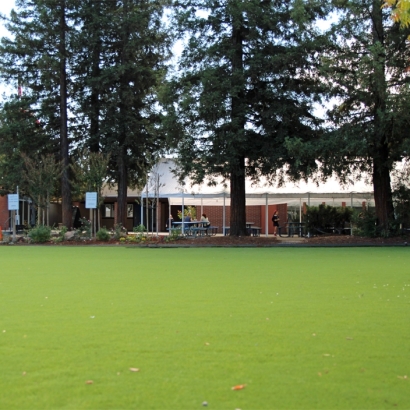 Synthetic Grass Delhi, California Paver Patio, Recreational Areas