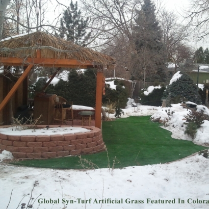 Synthetic Grass Gustine, California Design Ideas, Cold Weather