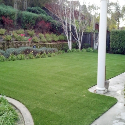 Synthetic Grass Le Grand, California Design Ideas, Backyard Landscaping
