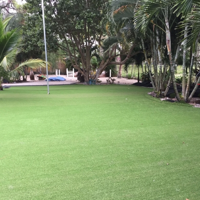 Synthetic Grass Tuttle, California Gardeners, Commercial Landscape