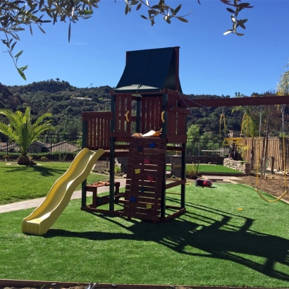 Synthetic Grass Volta, California Indoor Playground