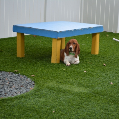 Synthetic Lawn Atwater, California Pet Grass, Dog Kennels