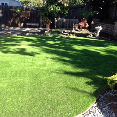 Synthetic Lawn Volta, California Roof Top, Backyard Makeover