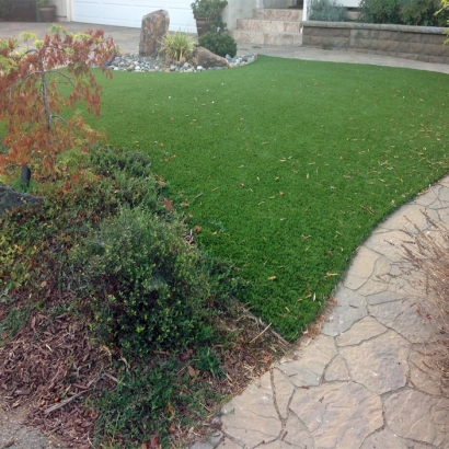 Turf Grass Atwater, California Artificial Turf For Dogs, Backyard Landscaping Ideas