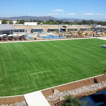 Turf Grass Hilmar-Irwin, California Stadium, Commercial Landscape
