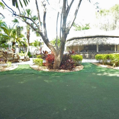 Turf Grass Le Grand, California Diy Putting Green, Commercial Landscape