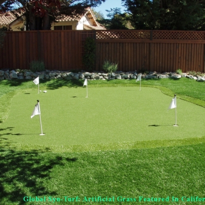 Turf Grass Livingston, California Best Indoor Putting Green, Backyard Designs