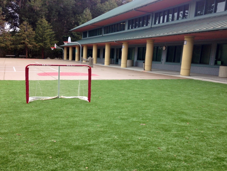 Artificial Grass Bear Creek, California Sports Turf, Commercial Landscape