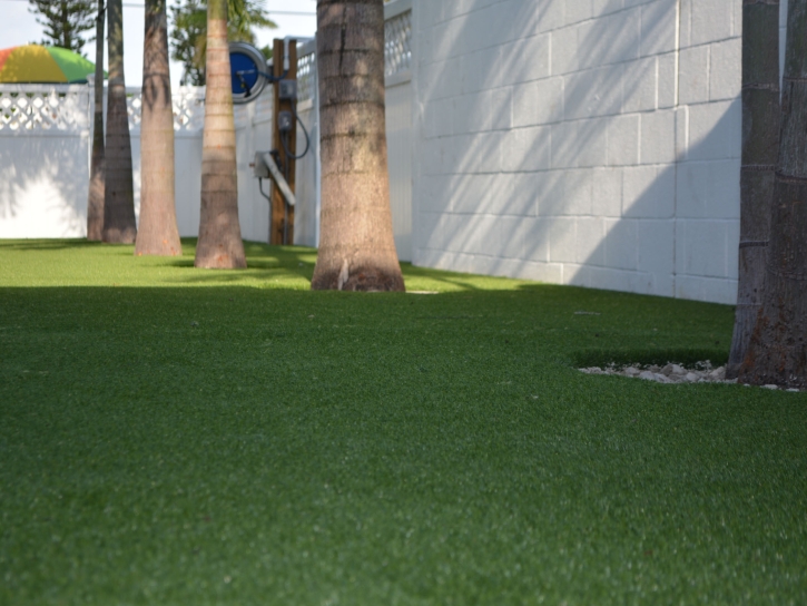 Artificial Grass Carpet Delhi, California Garden Ideas, Commercial Landscape