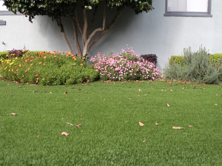 Artificial Grass Carpet Dos Palos, California Garden Ideas, Front Yard Landscaping Ideas