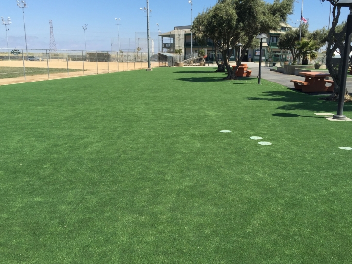 Artificial Grass Gustine, California Landscape Design, Parks