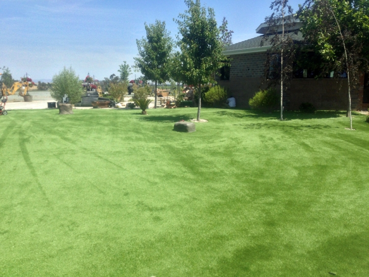 Artificial Grass Winton, California Backyard Playground, Parks