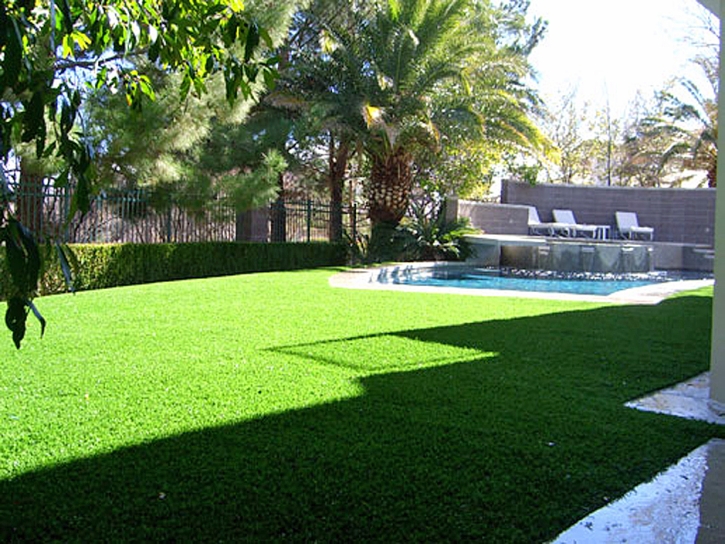 Artificial Lawn Ballico, California Backyard Playground, Backyard Design