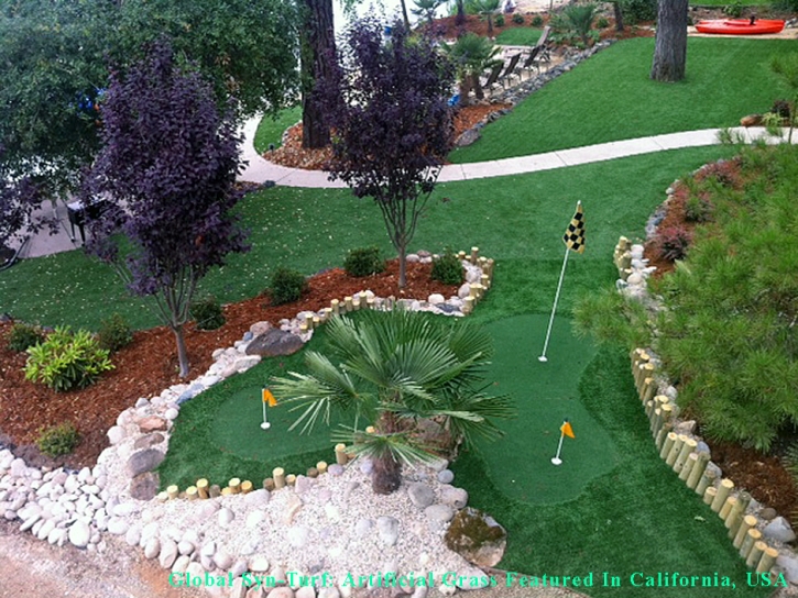 Artificial Lawn Merced, California Design Ideas, Backyard